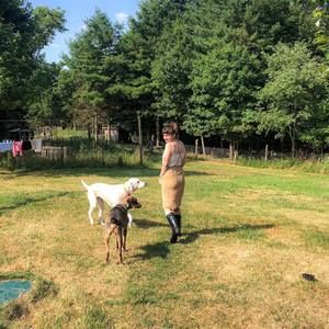 Meet your Posher, Lara